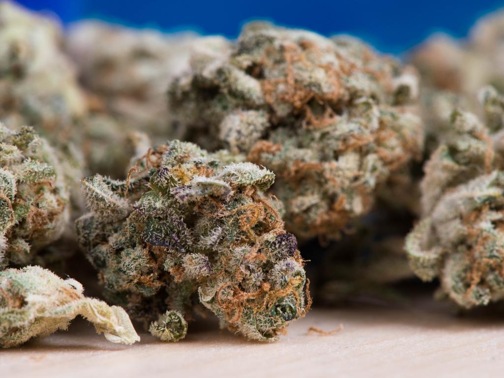 Zen Leaf Buchanan Starts Recreational Cannabis Sales
